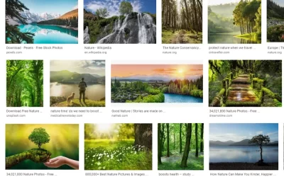 Google Images Search For Copyright Free Images – Usage Rights Filter